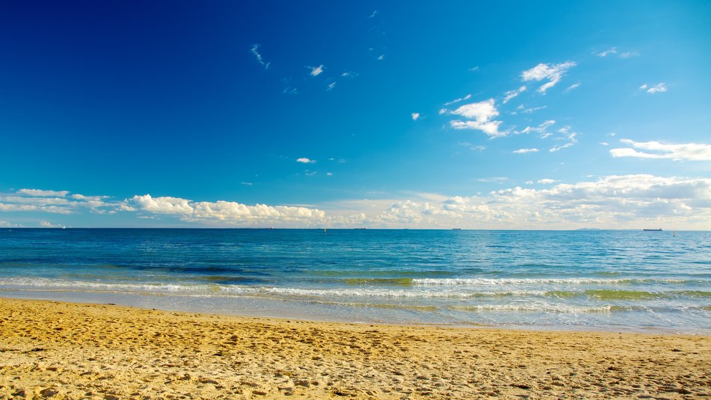 Brighton Beach che include spiaggia sabbiosa, vista del paesaggio e paesaggio tropicale