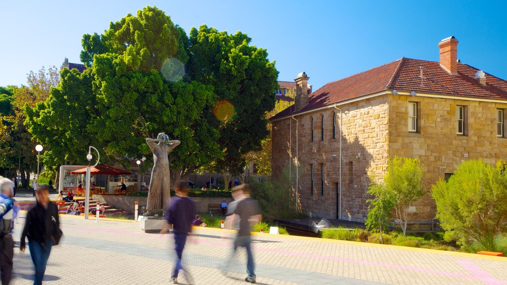 Art Gallery of Western Australia showing art and street scenes