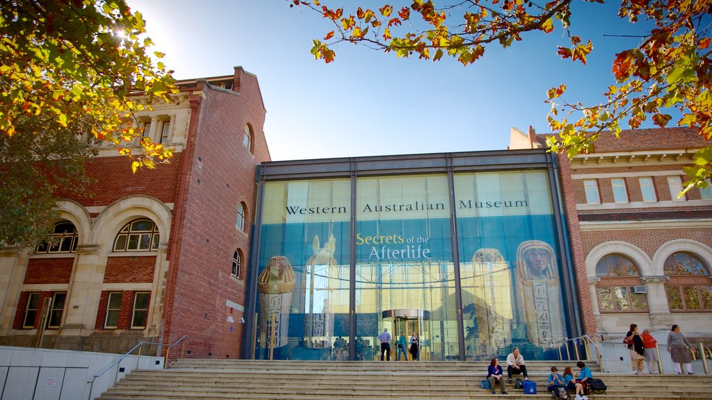 Western Australian Museum showing signage and a city