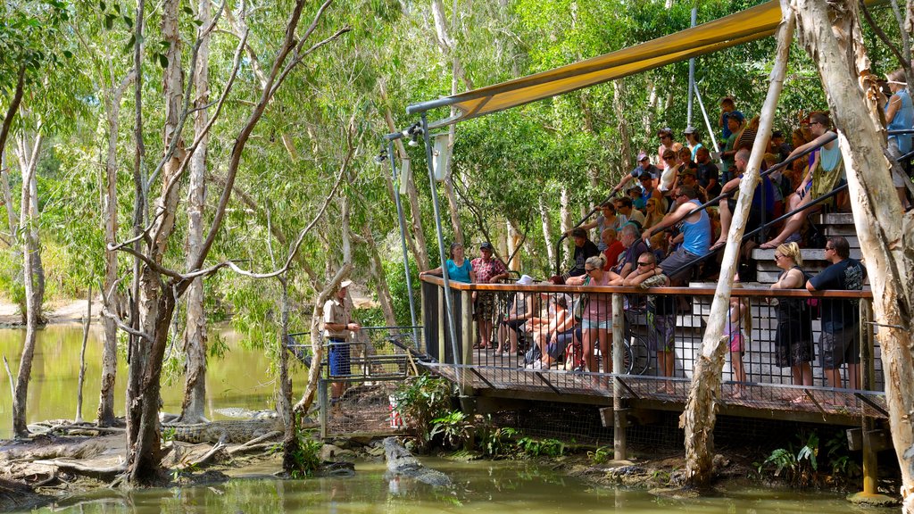 Hartley\'s Crocodile Adventures showing zoo animals and rides as well as a large group of people