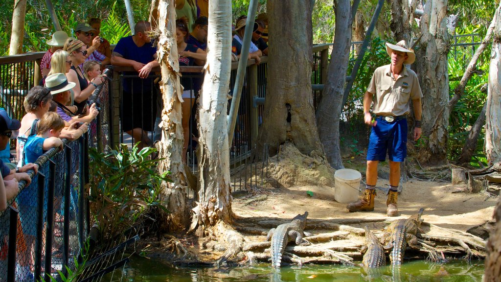 Hartley\'s Crocodile Adventures showing dangerous animals, zoo animals and a pond