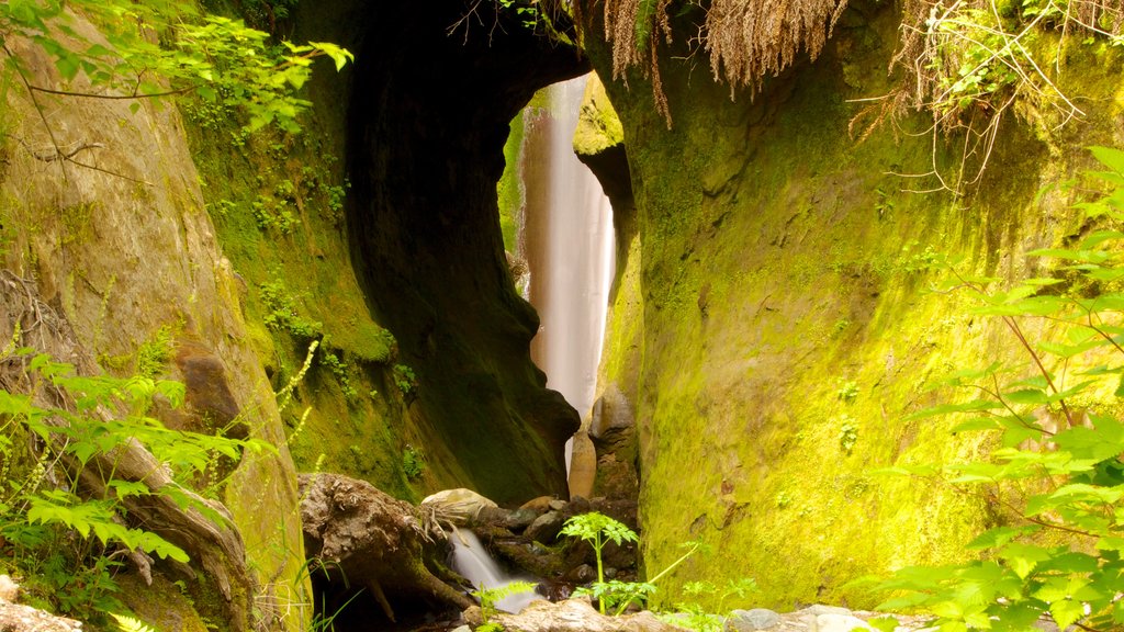 British Columbia which includes rainforest and caves