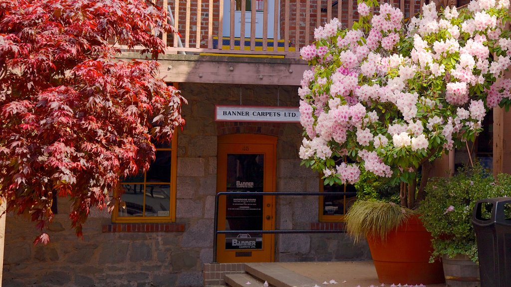 Victoria featuring flowers and signage