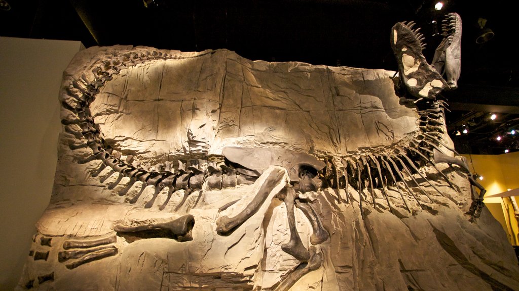 Bảo tàng Royal Tyrrell cho thấy cảnh nội thất