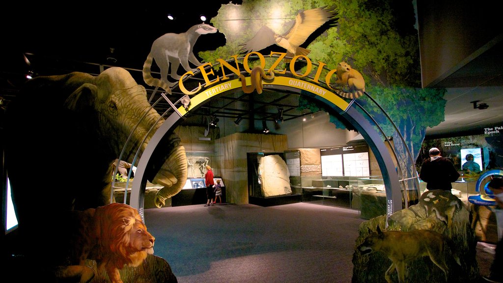 Royal Tyrrell Museum featuring signage and interior views