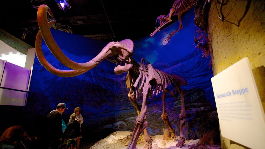 Royal Tyrrell Museum featuring interior views as well as a family