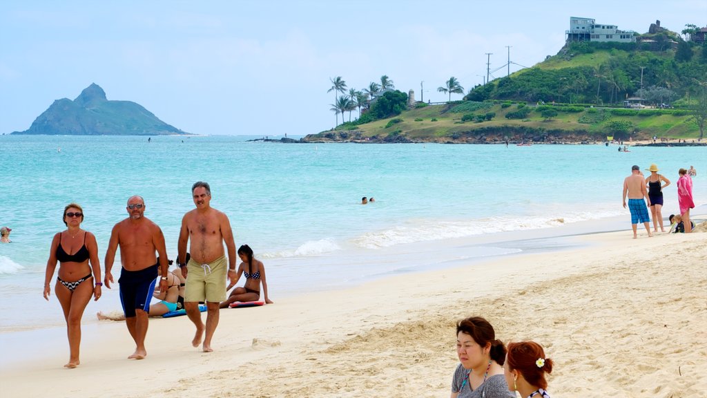 Kailua Beach which includes tropical scenes and a beach as well as a small group of people