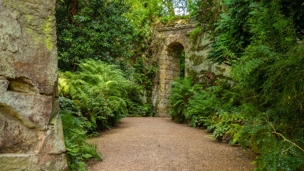 Castelo e Jardins de Belsay Hall mostrando um jardim