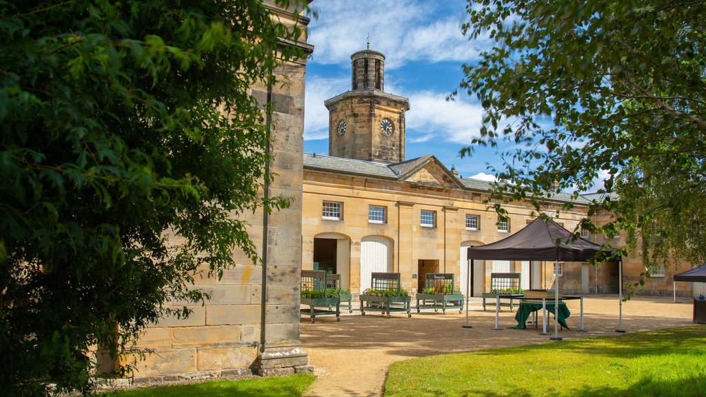 Belsay Hall, Castle and Gardens showing heritage elements