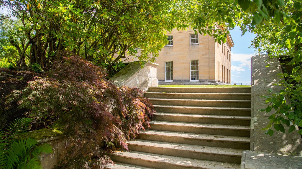 Belsay Hall, Castle and Gardens showing a park