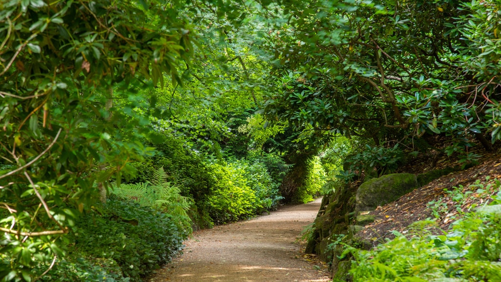 Belsay Hall, Castle and Gardens menunjukkan kebun