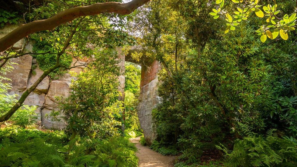 Belsay Hall, Castle and Gardens featuring a park