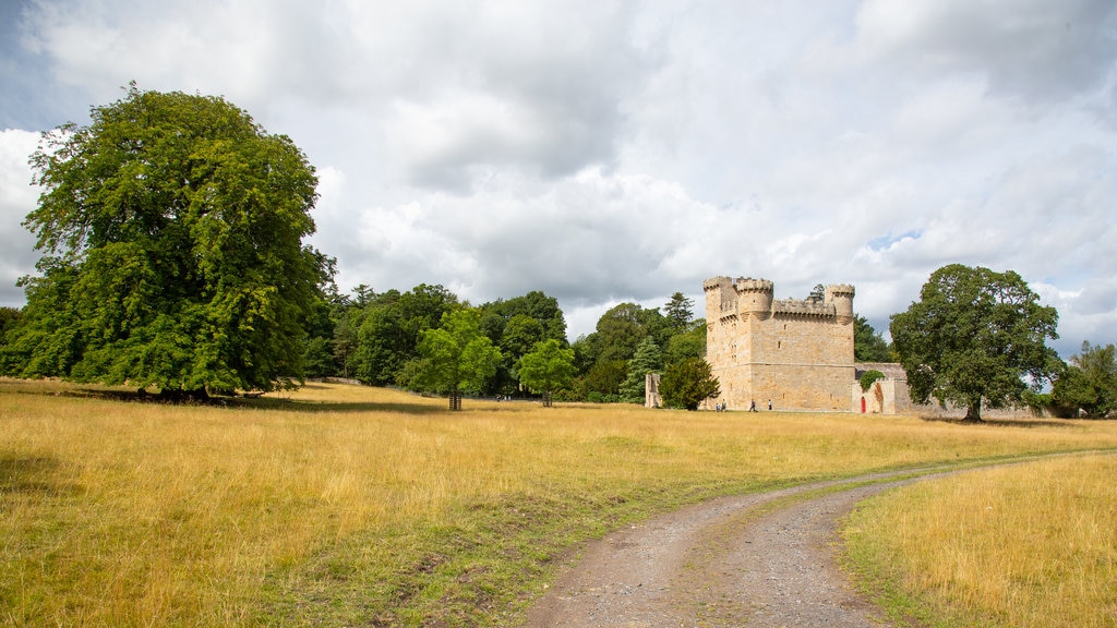 Belsay Hall, Castle and Gardens featuring château or palace, tranquil scenes and heritage architecture