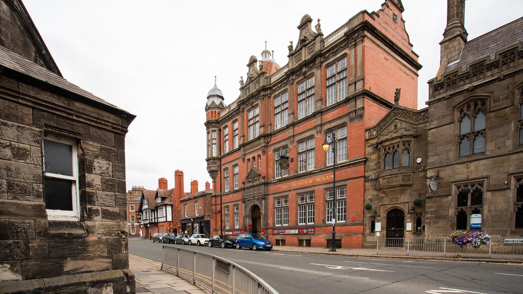 Grosvenor Museum showing heritage architecture