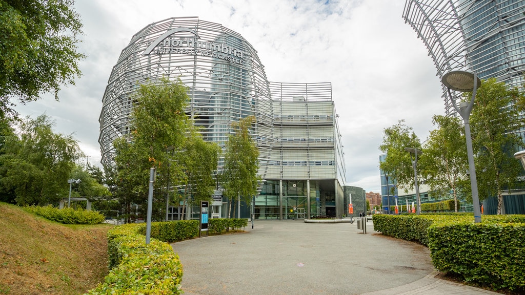 Northumbria University showing a garden and signage