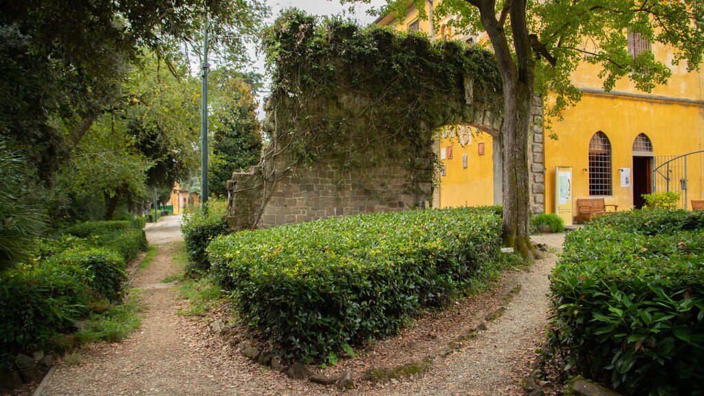 Careggi Rifredi showing a garden