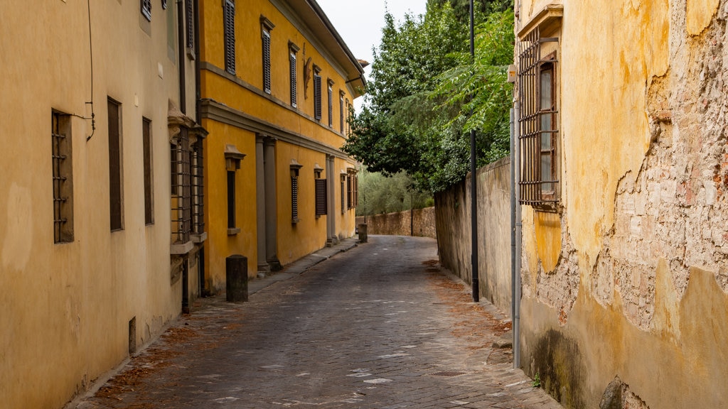 Quartiers Careggi et Rifredi