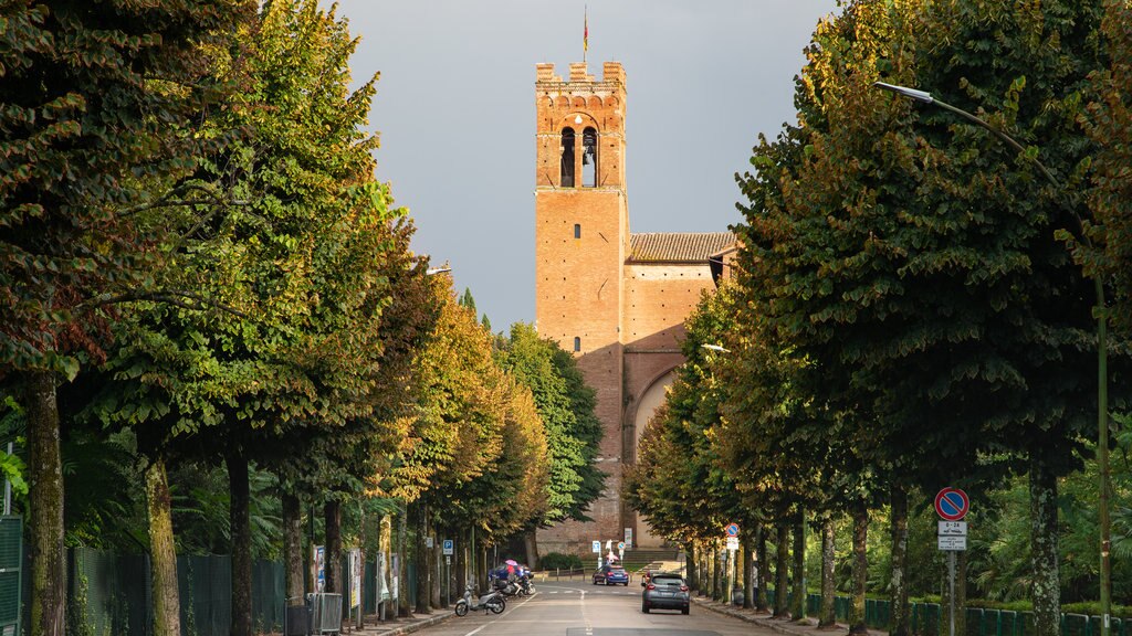 Basiliek van San Domenico toont historische architectuur