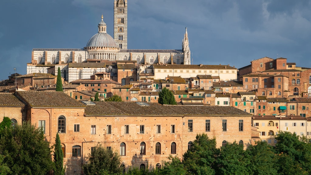 Italia ofreciendo vista panorámica, arquitectura patrimonial y una ciudad