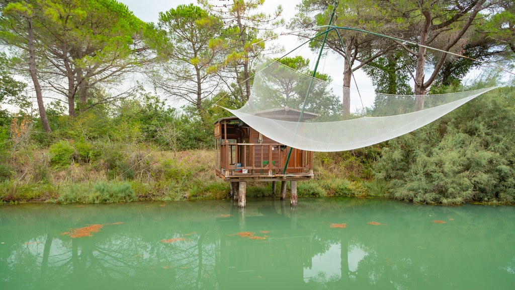 Pineta di Cervia - Milano Marittima showing a pond