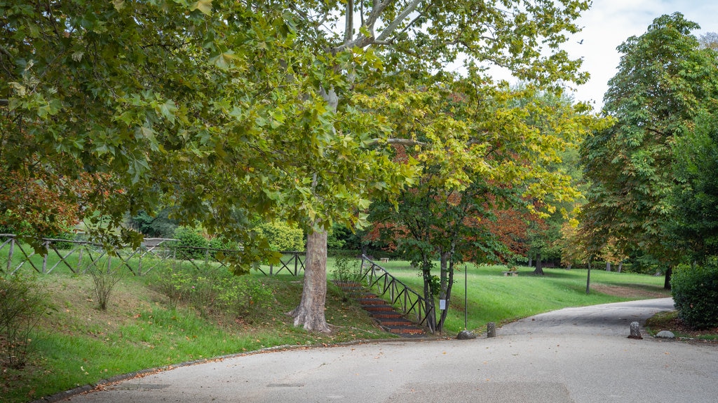 Campo di Marte which includes a park