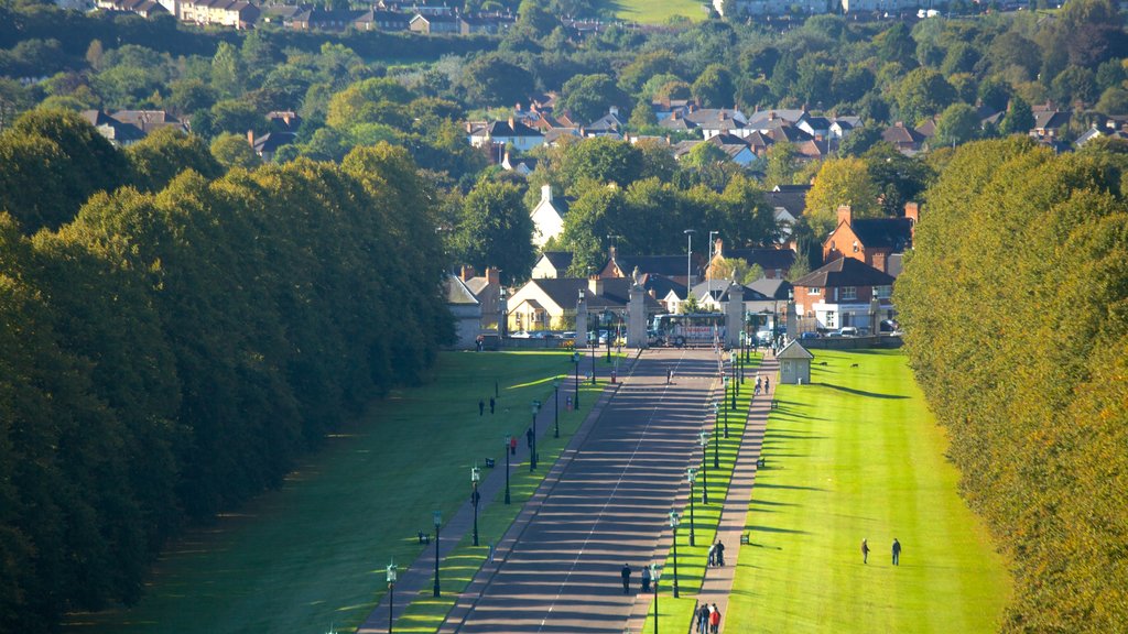 Parlementsgebouwen Stormont toont een tuin en straten