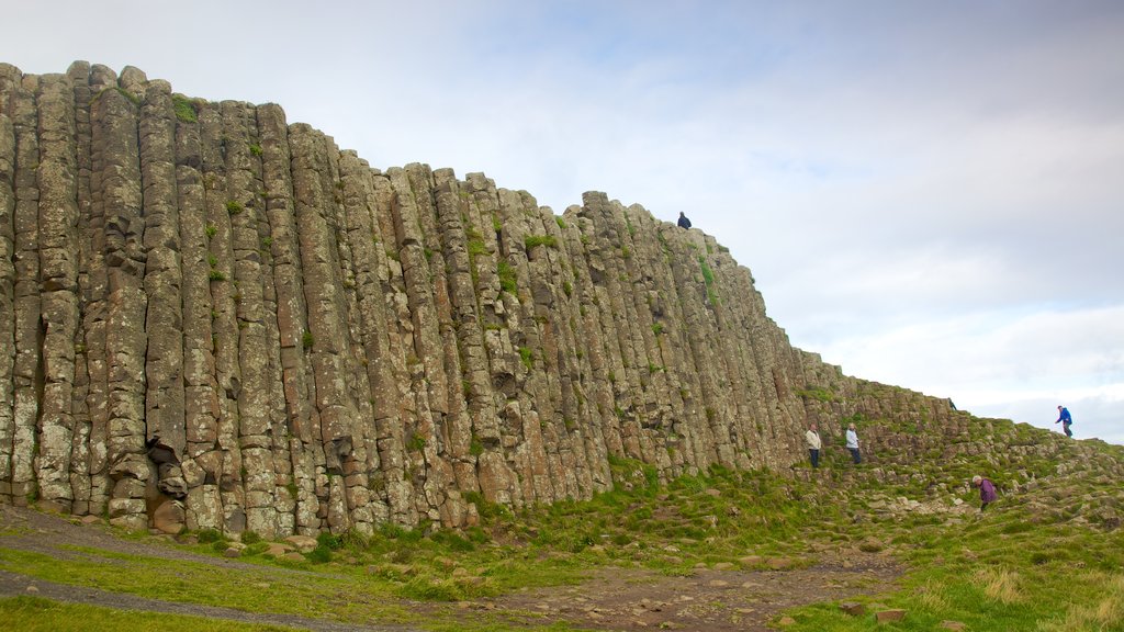 Giant\'s Causeway featuring hiking or walking, a gorge or canyon and tranquil scenes