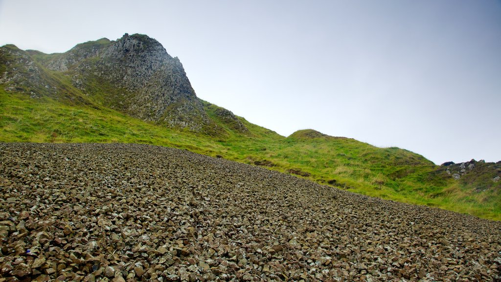 Giant\'s Causeway ofreciendo montañas y escenas tranquilas