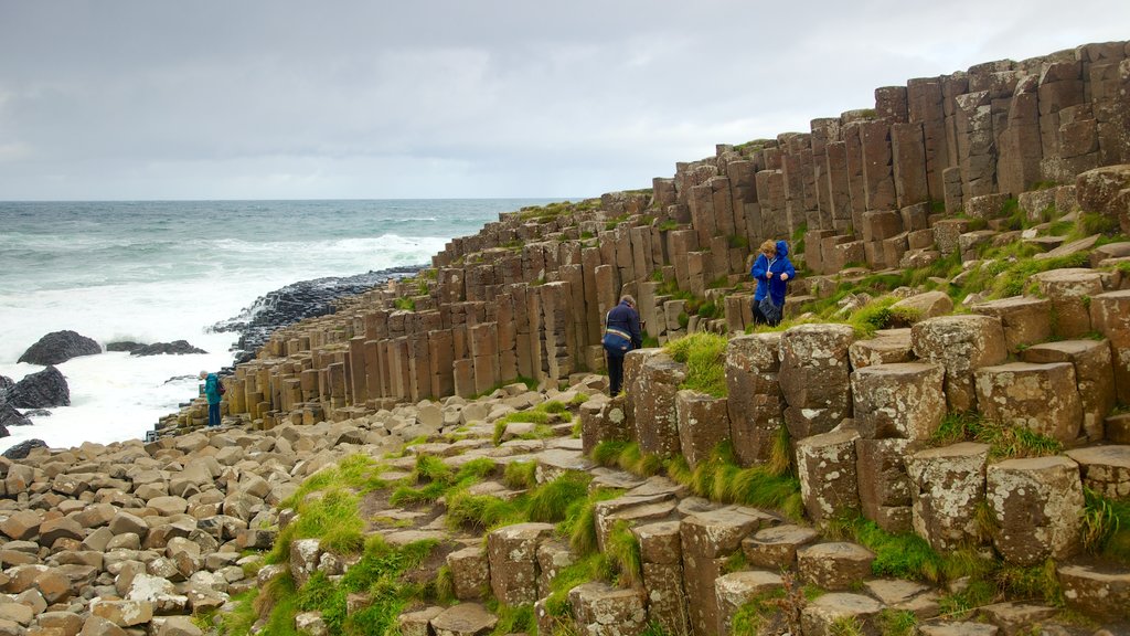 Giant\'s Causeway which includes rugged coastline and hiking or walking