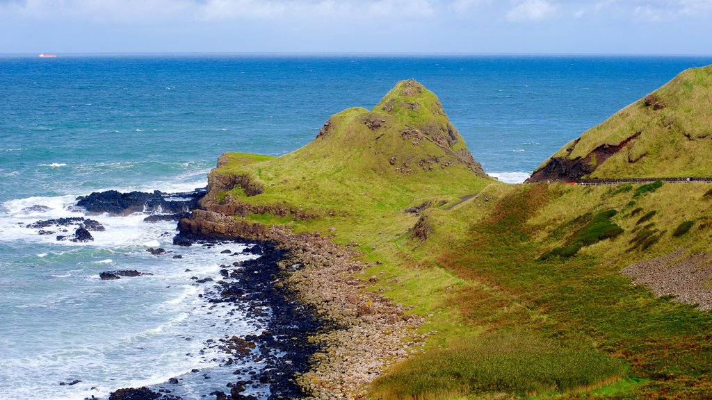 Giant\'s Causeway mostrando escenas tranquilas y costa escarpada