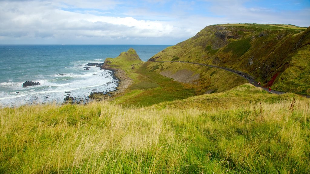 Giant\'s Causeway featuring general coastal views, landscape views and rocky coastline