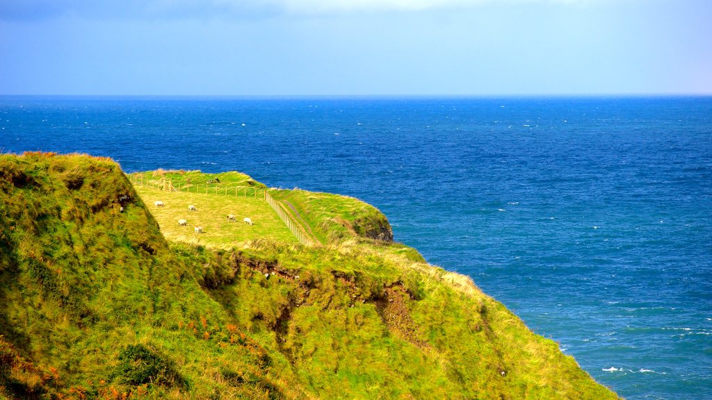 Giant\'s Causeway mostrando vista general a la costa y escenas tranquilas