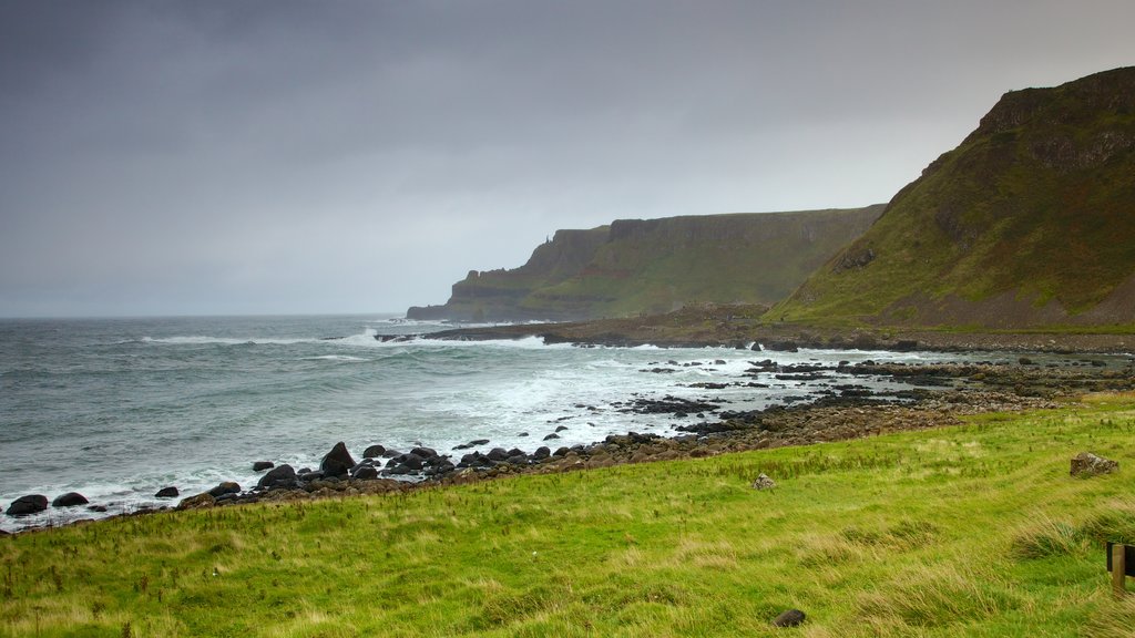 Giant\'s Causeway which includes rugged coastline, landscape views and tranquil scenes