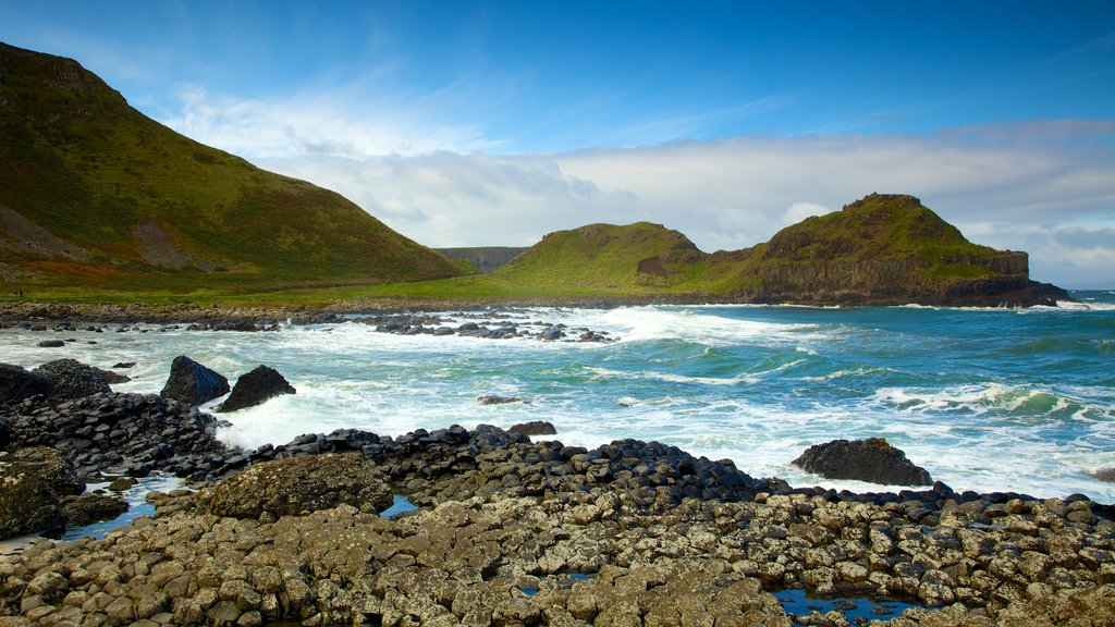 Giant\'s Causeway showing landscape views, rugged coastline and tranquil scenes