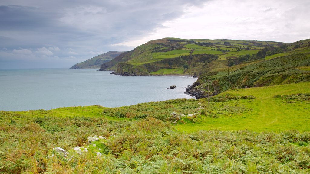 Torr Head featuring tranquil scenes, rugged coastline and landscape views