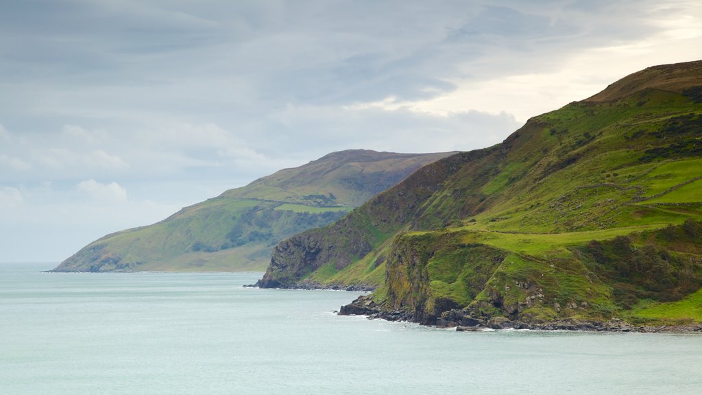 Torr Head showing tranquil scenes, rugged coastline and landscape views