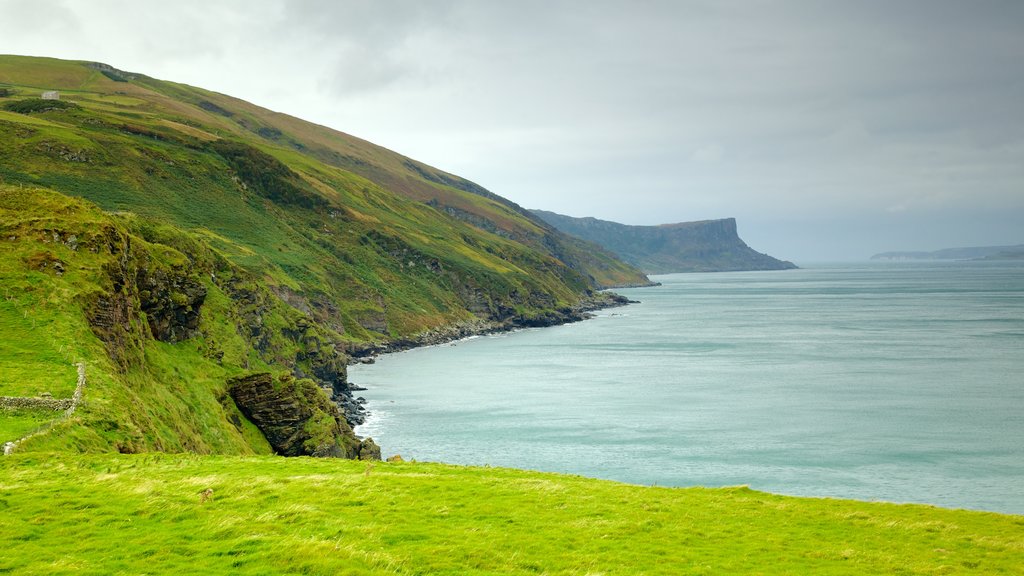 Torr Head que incluye costa escarpada, escenas tranquilas y vistas de paisajes