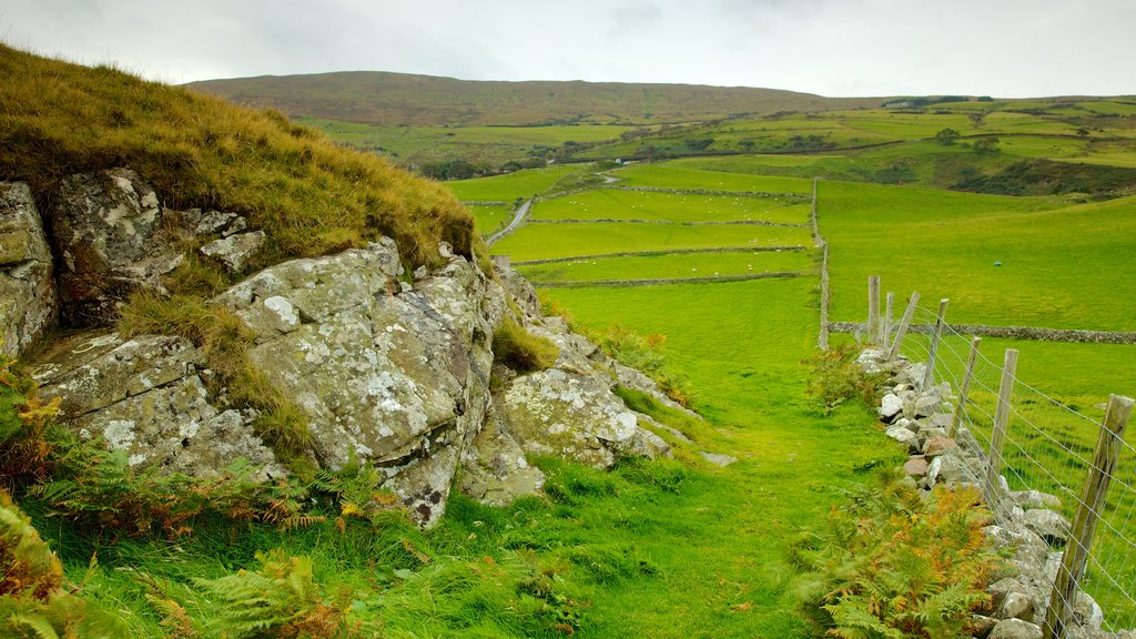 Torr Head featuring tranquil scenes, farmland and landscape views