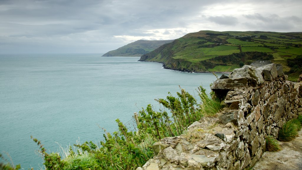 Torr Head which includes rugged coastline, views and tranquil scenes