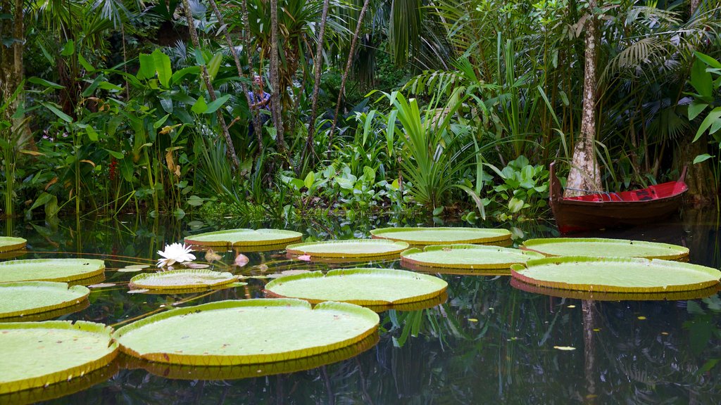 Tropical Spice Garden que inclui um jardim e um lago