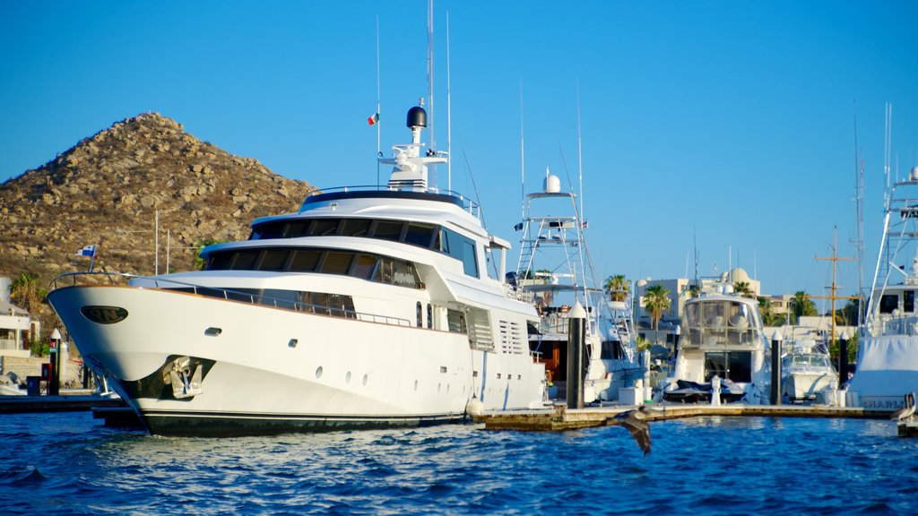 Marina Cabo San Lucas showing a marina