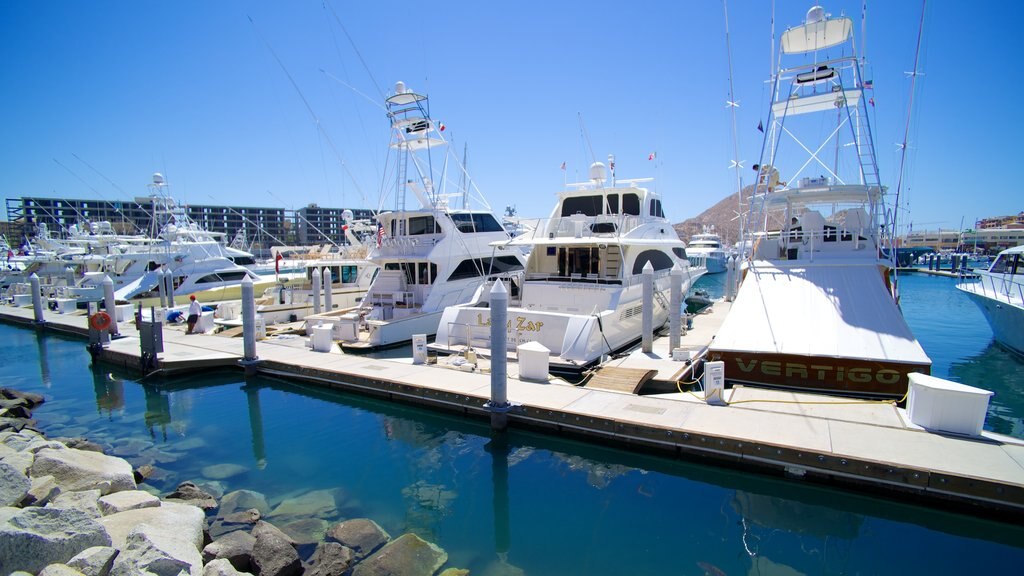 Marina Cabo San Lucas featuring a marina