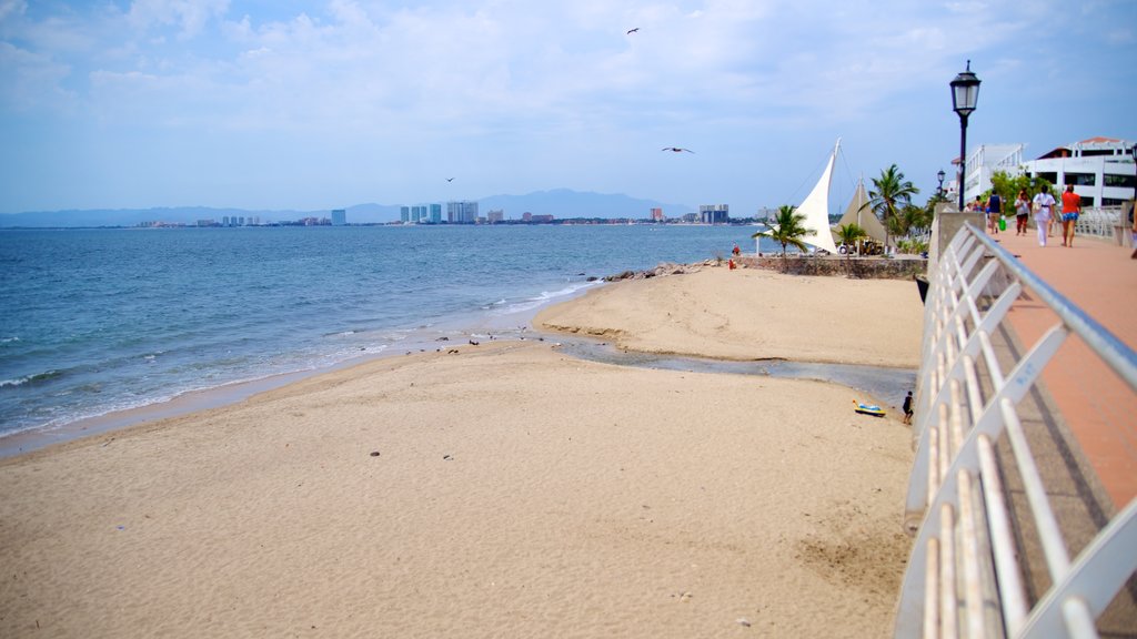 Bay of Banderas showing a beach and tropical scenes