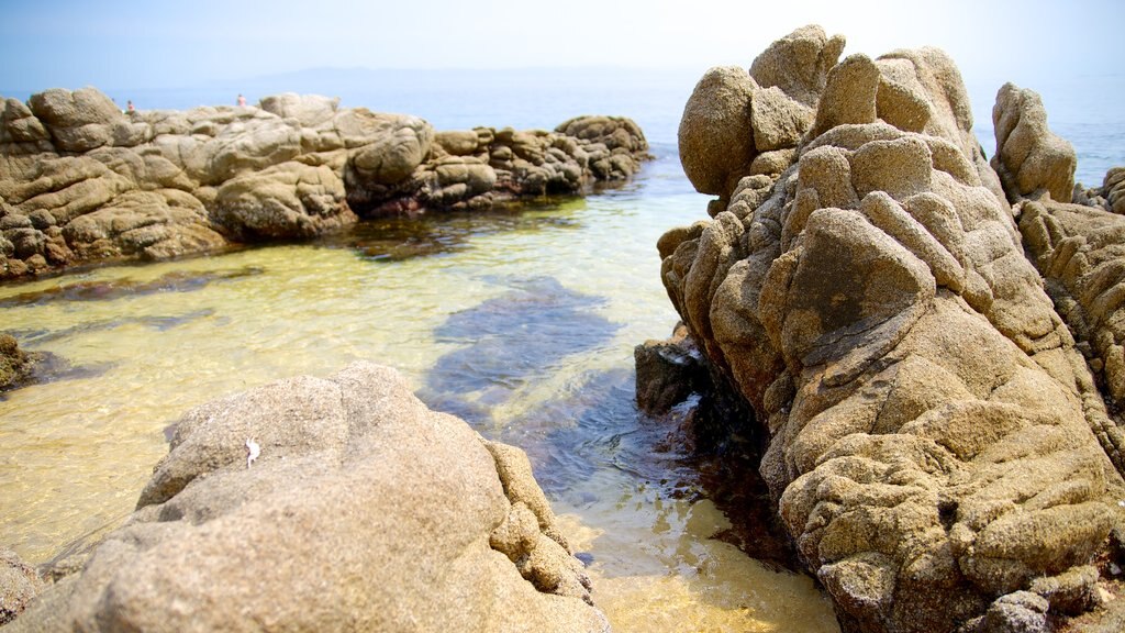 Las Caletas showing rocky coastline