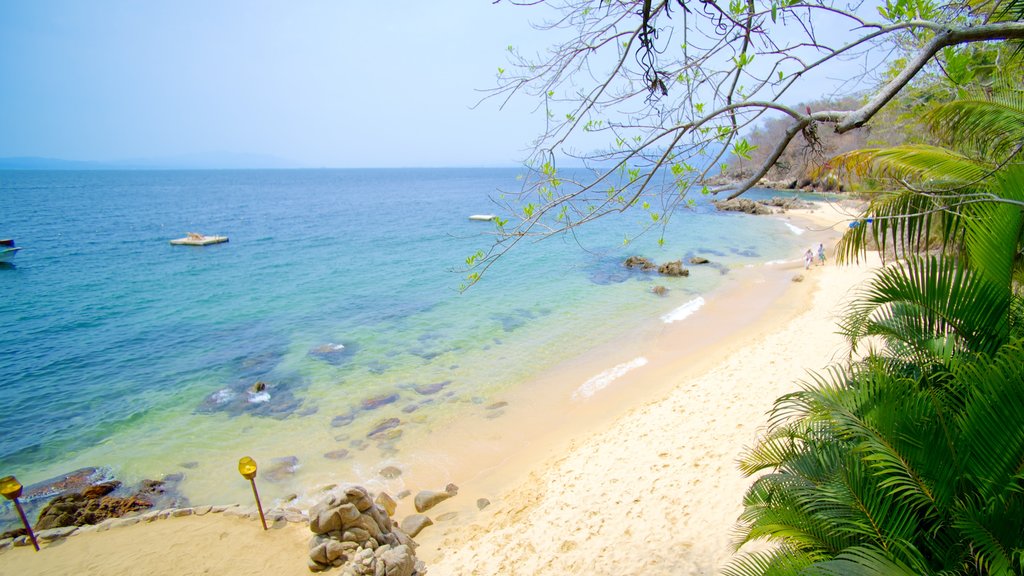 Las Caletas que incluye escenas tropicales y una playa de arena