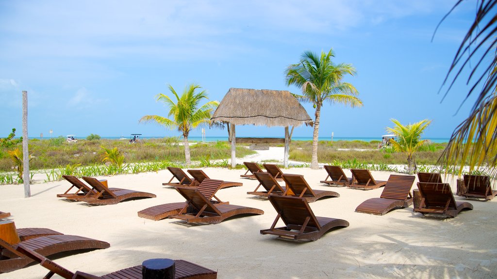 Holbox que incluye escenas tropicales, un hotel o resort de lujo y vistas generales de la costa