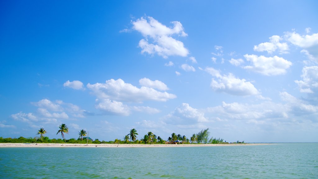 Holbox mostrando vista a una isla, escenas tropicales y vista panorámica