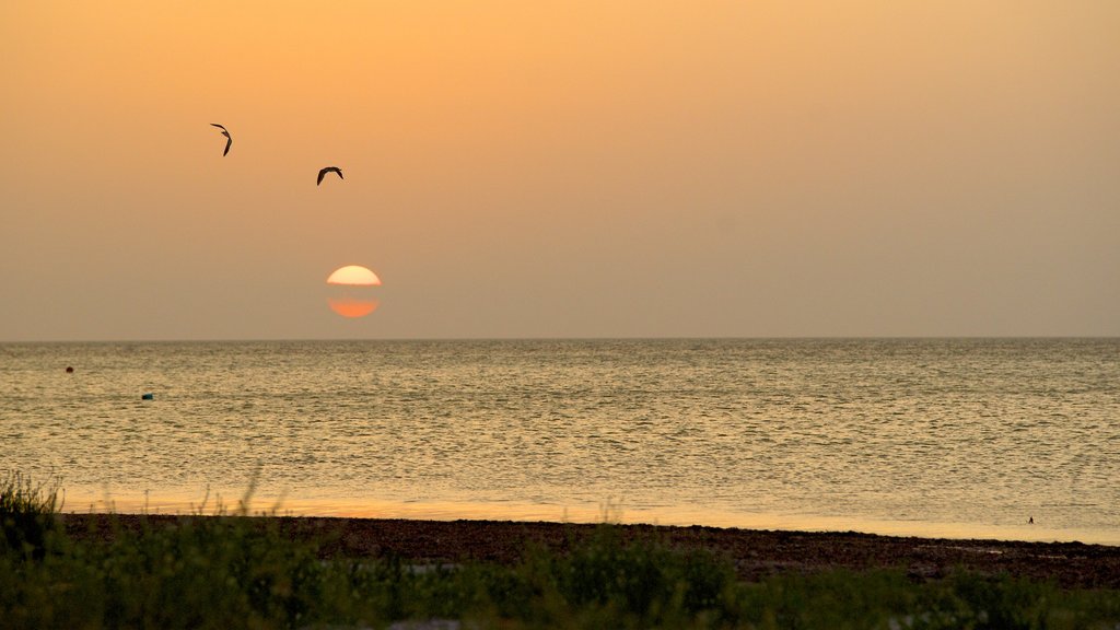 Isla Holbox which includes landscape views, a sunset and general coastal views