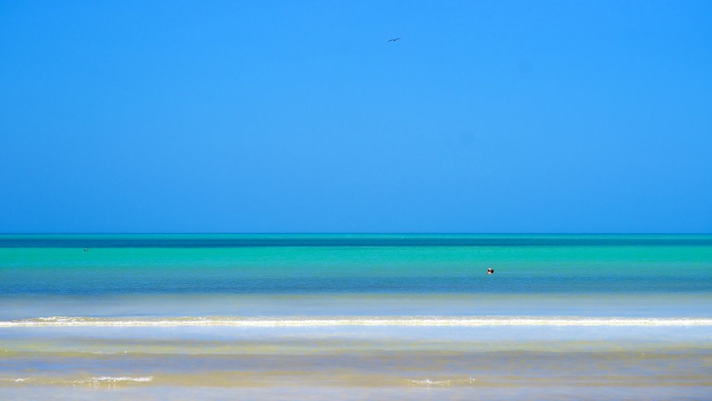 Isla Holbox which includes general coastal views and landscape views