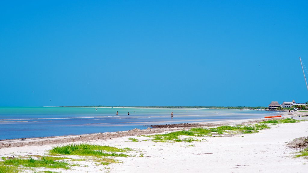 Holbox mostrando una playa de arena y vistas panorámicas